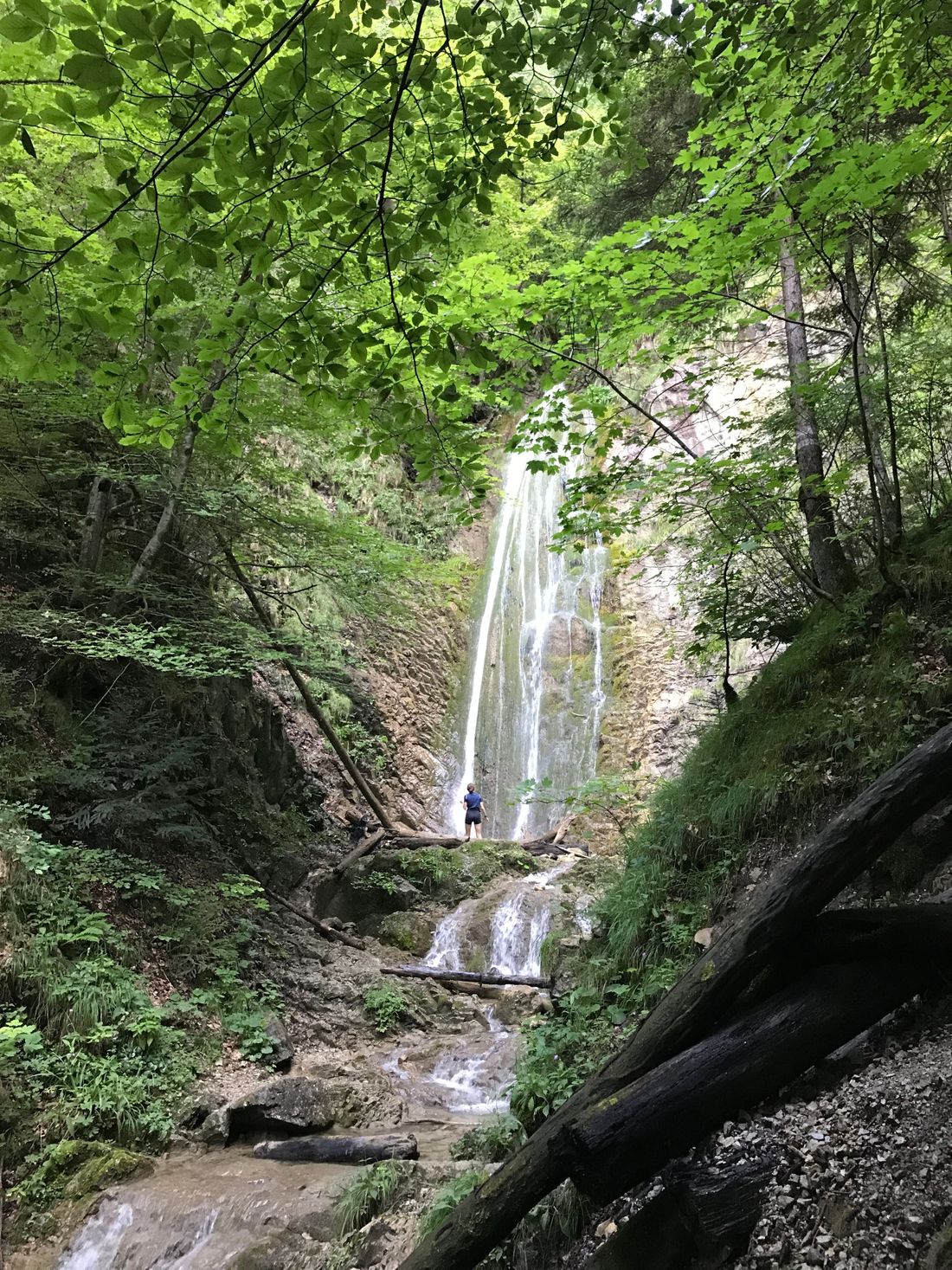 Rottauer Wasserfall, 30 Minuten zu Fuß ab Fewo Almglück