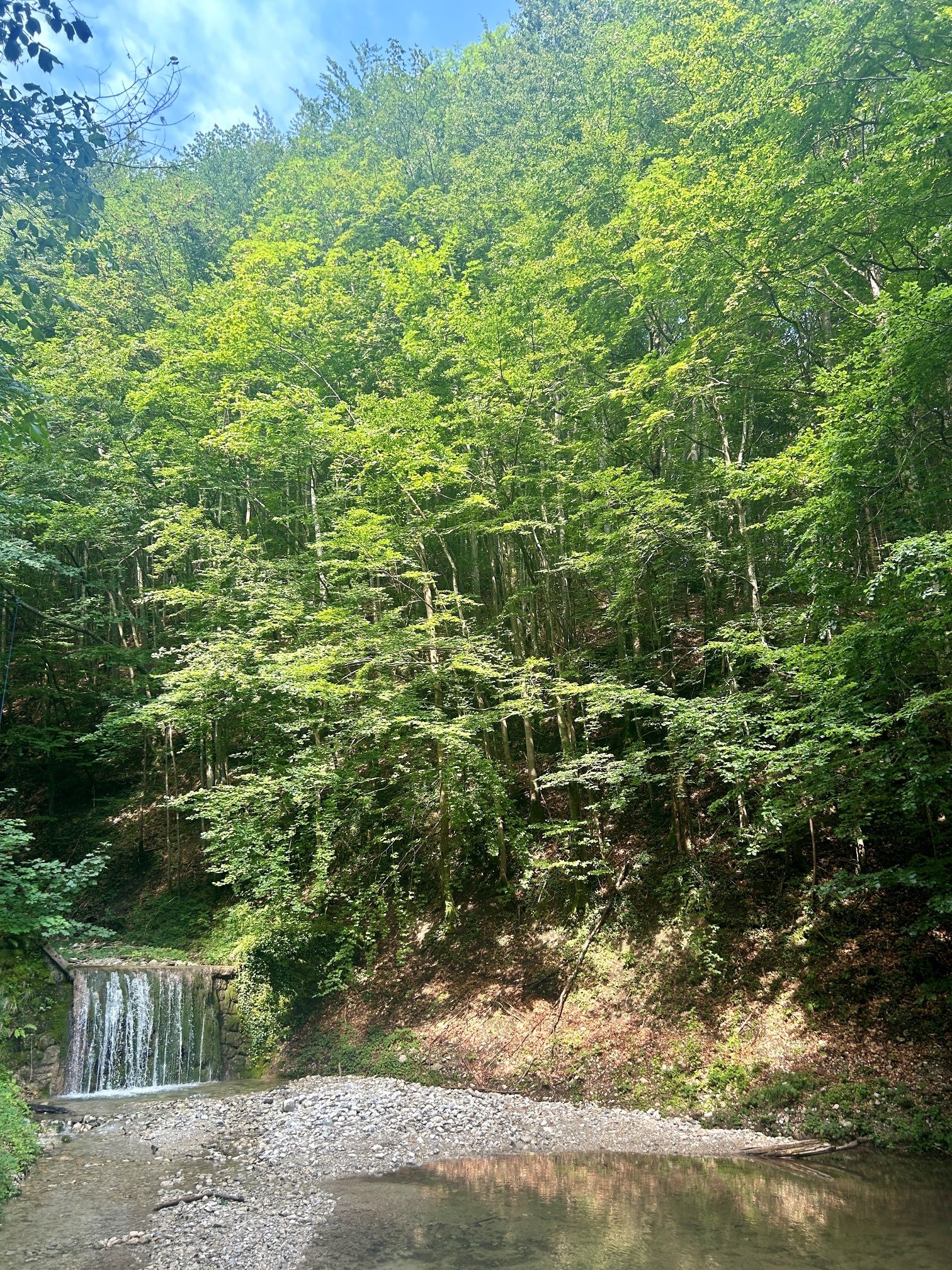 Natur pur auf dem Weg zum Wasserfall