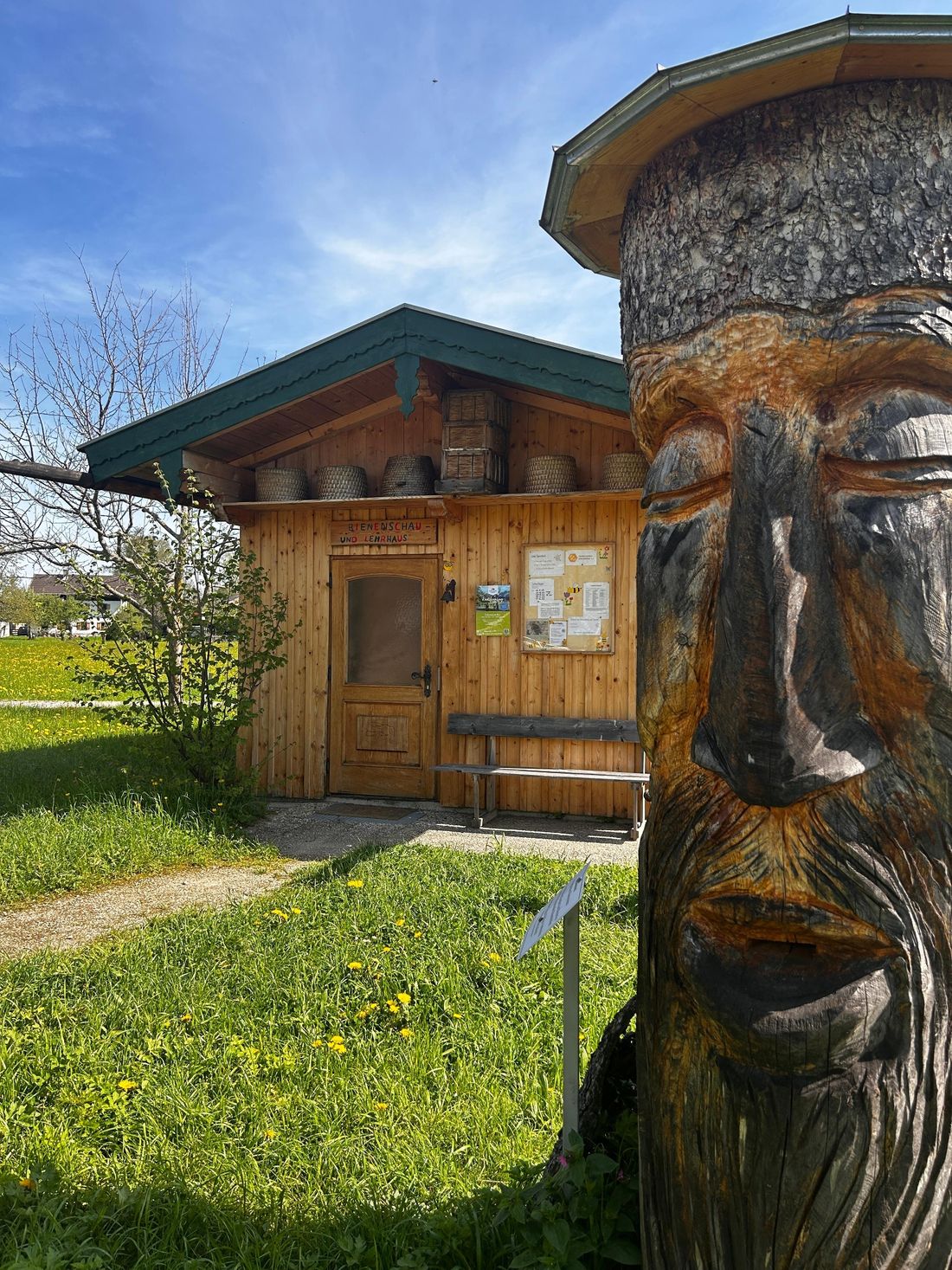 Bienenschauhaus mit Stock