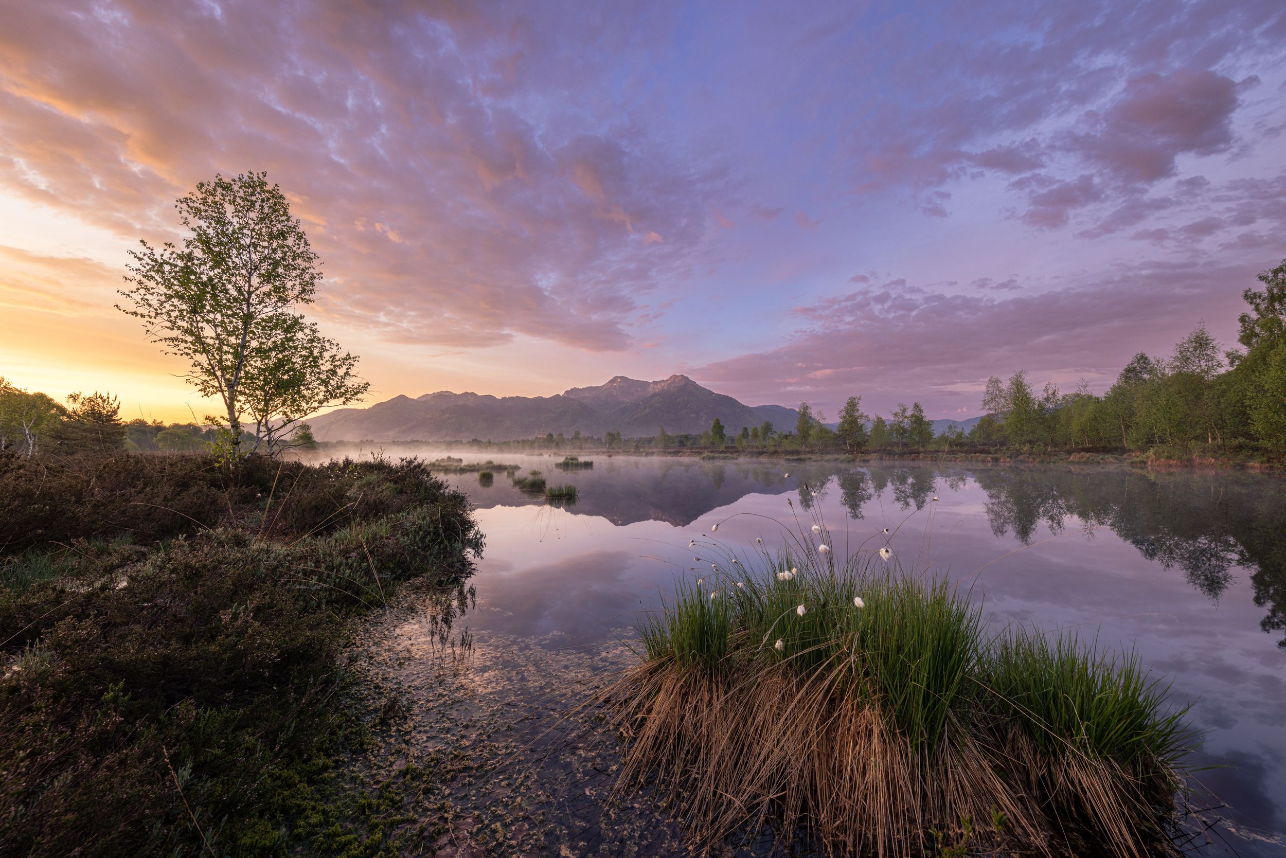 Das Naturschutzgebiet Kendlmühlfilzen in Grassau