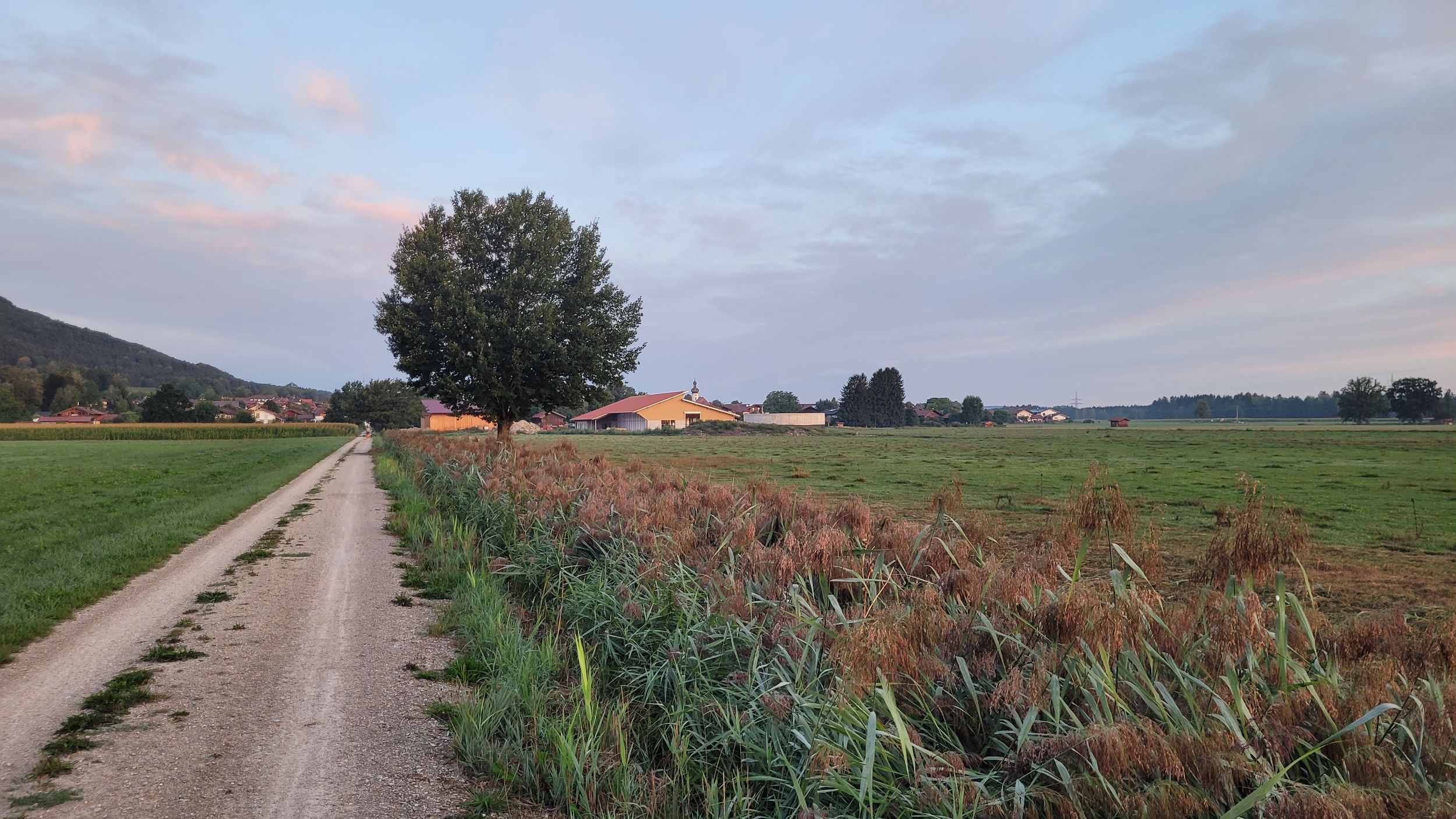 Neuer Laufstall