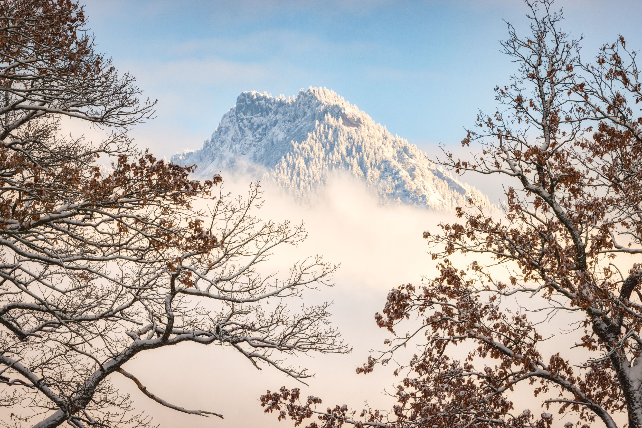 Schnappenberg mit Schnee