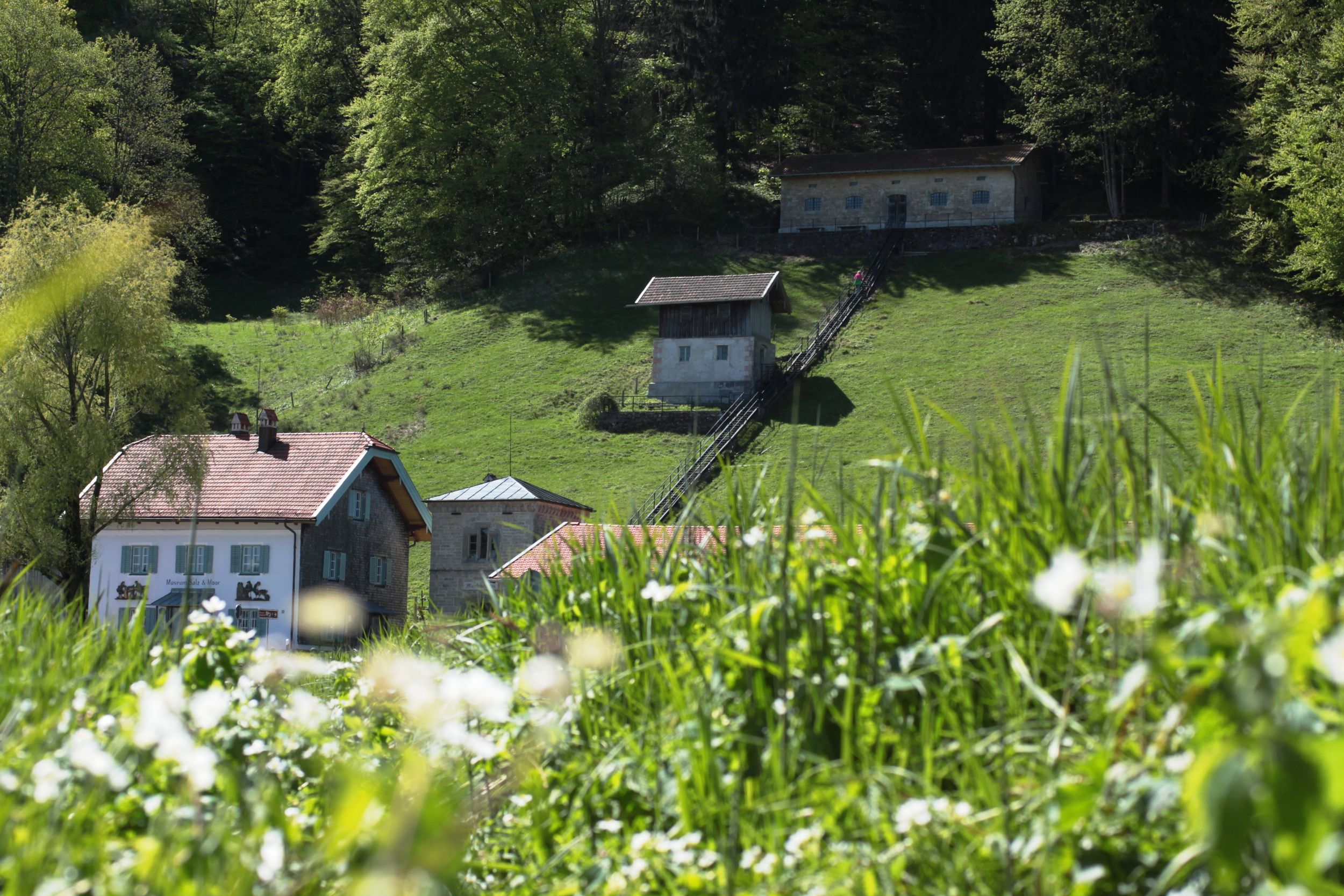 1707471629_museumsalzmoor