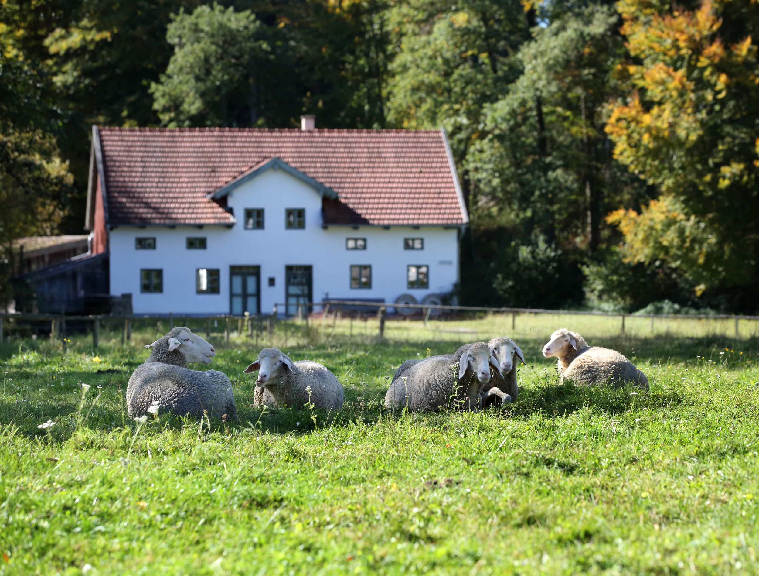 Freilichtmuseum Amerang