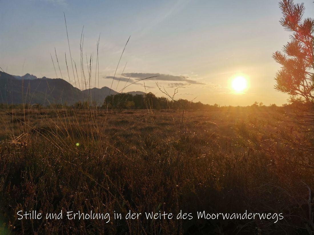 Moorwanderweg
