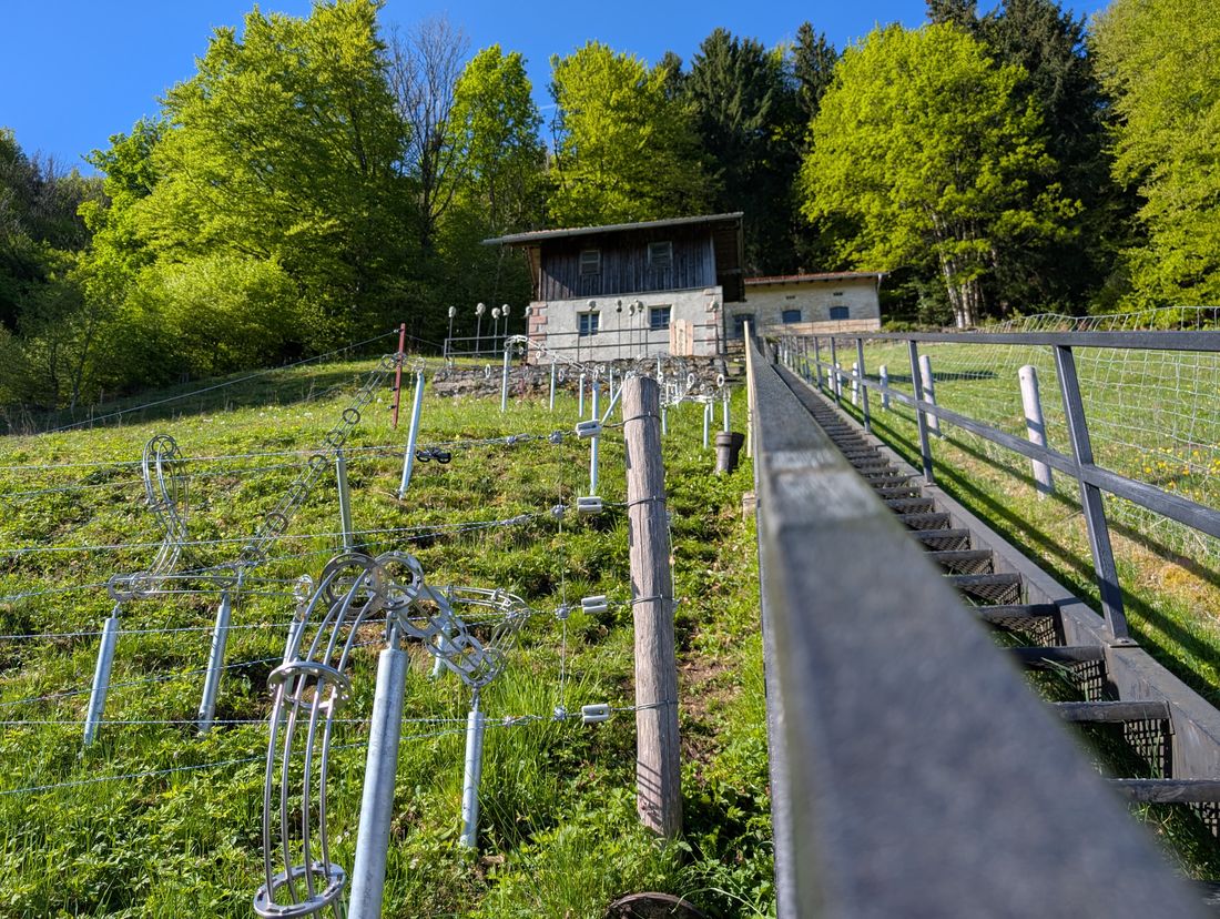 Start der Kugelbahn an der Mittelreserve hinter dem Museum Salz & Moor