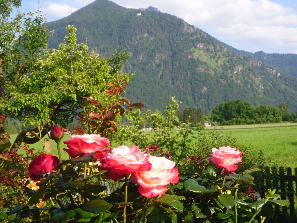 Gartenblick zum Schnappenberg