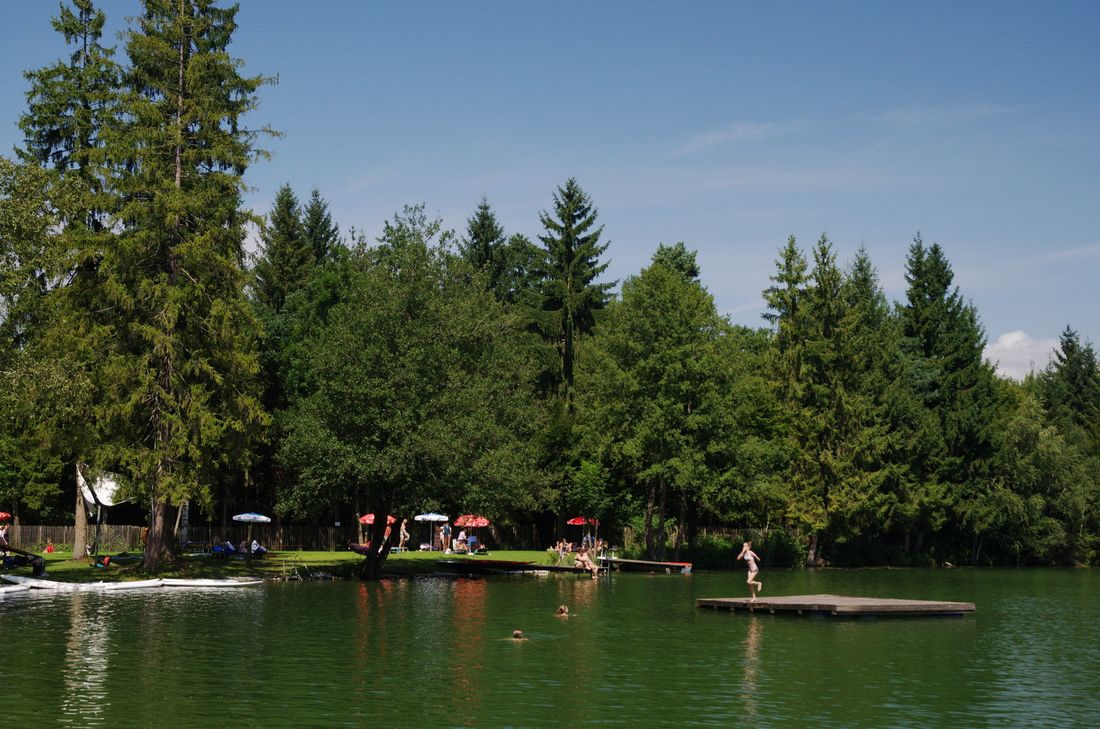 1453192595_f107814_1