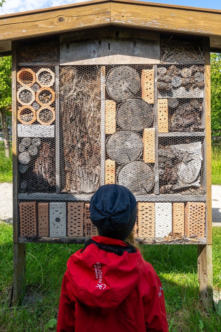 Vor dem Bienenschauhaus in Grassau