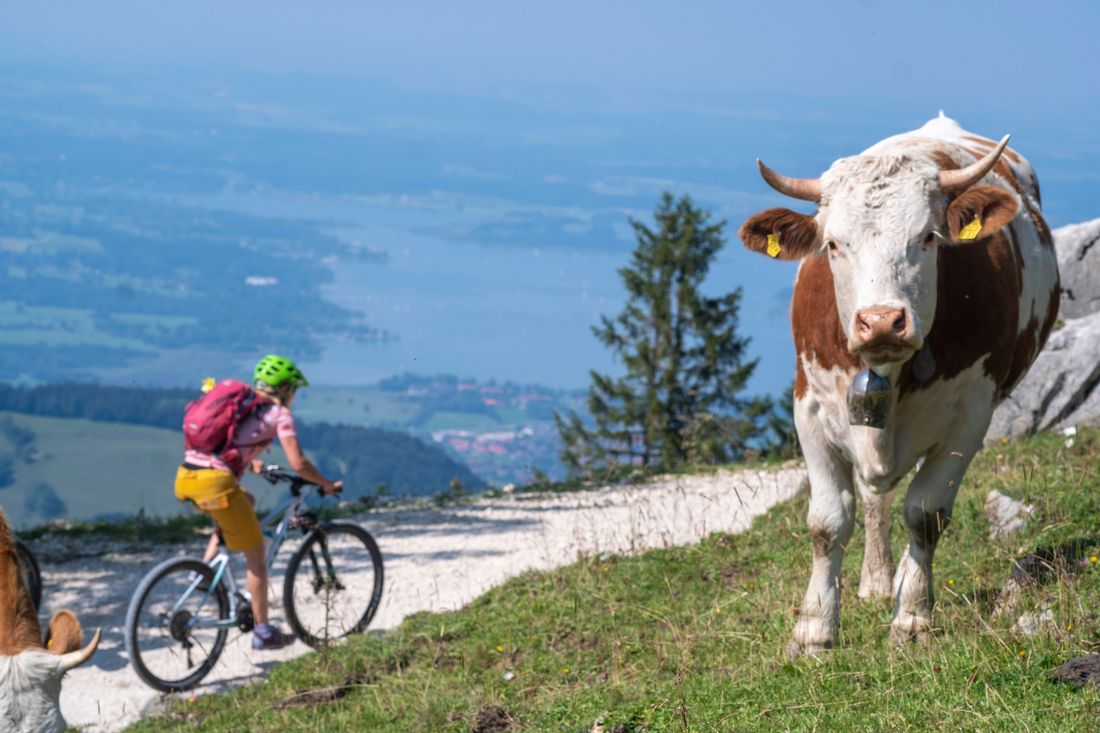 Mit dem MTB auf der Hochplattenrunde