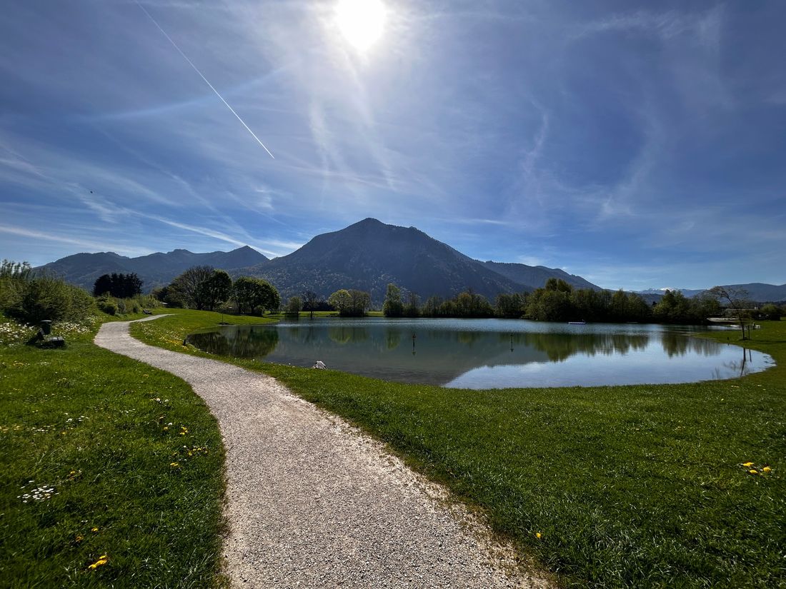 Der Reifinger See im Frühling
